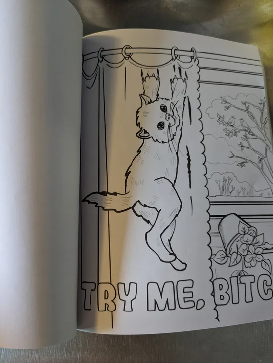 Cat Coloring Book - Picture 3 of 5